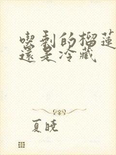 吃剩的榴莲冷冻还是冷藏