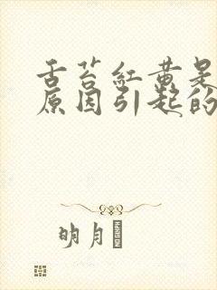 舌苔红黄是什么原因引起的