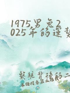 1975男兔2025年的运势及运程