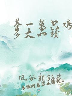 养一万只鸡需要多大面积