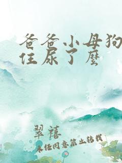 爸爸小母狗憋不住尿了么