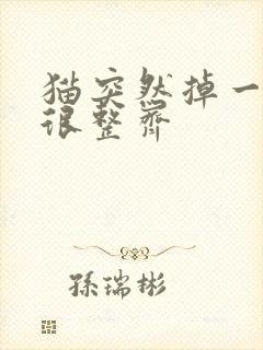 猫突然掉一撮毛很整齐