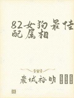 82女狗最佳婚配属相