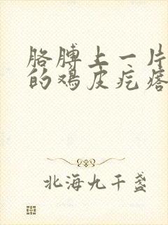 胳膊上一片一片的鸡皮疙瘩