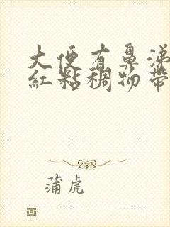 大便有鼻涕样暗红粘稠物带血