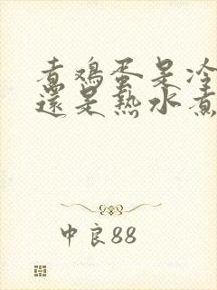 煮鸡蛋是冷水煮还是热水煮