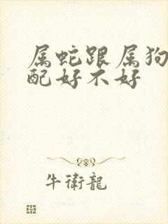 属蛇跟属狗的婚配好不好