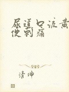 尿道口流黄脓小便刺痛