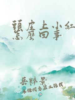 头皮上小红疙瘩怎么回事