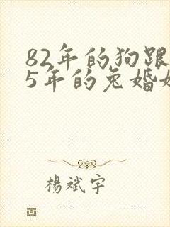 82年的狗跟75年的兔婚姻相配吗