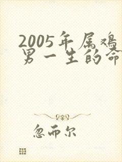2005年属鸡男一生的命运怎样