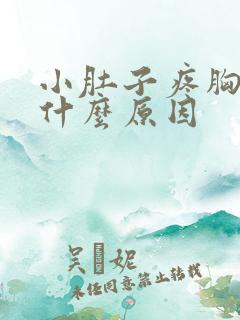 小肚子疼胸疼是什么原因