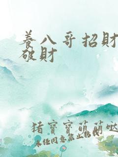 养八哥招财还是破财