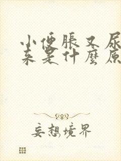 小便胀又尿不出来是什么原因女性