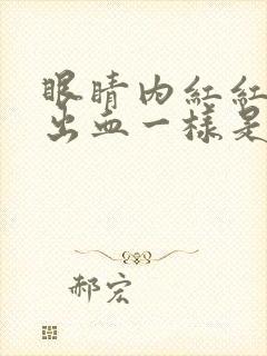 眼睛内红红的像出血一样是怎么回事