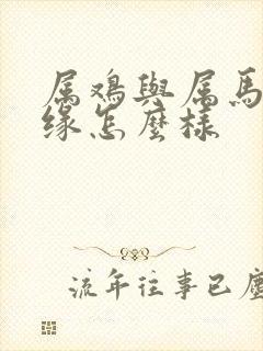 属鸡与属马的姻缘怎么样