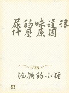 尿的味道很重是什么原因