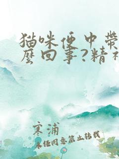 猫咪便中带血怎么回事?精神很好