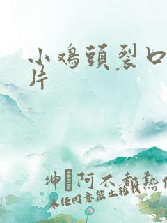 小鸡头裂口子图片