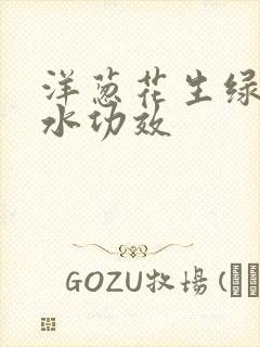 洋葱花生绿豆煮水功效