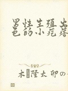 男性生殖出现白色的小疙瘩还痒