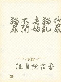 猫不去猫砂盆撒尿开始乱尿