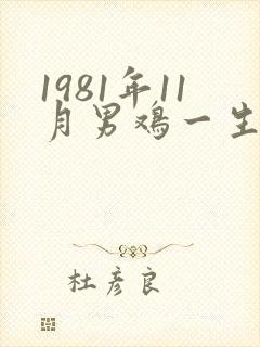 1981年11月男鸡一生的命运