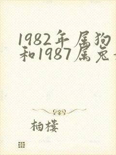 1982年属狗和1987属兔婚姻怎么样