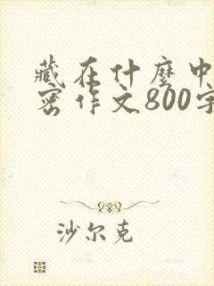 藏在什么中的秘密作文800字