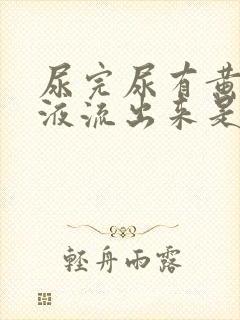 尿完尿有黄色粘液流出来是怎么回事?