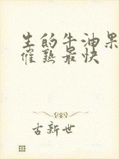 生的牛油果怎么催熟最快