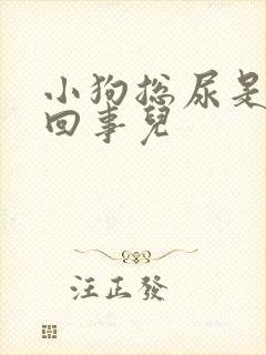 小狗总尿是怎么回事儿