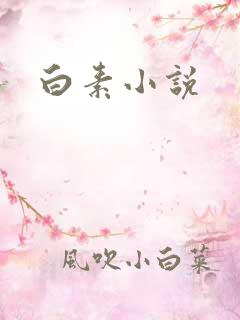 白素小说