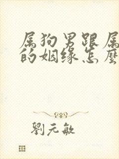 属狗男跟属狗女的姻缘怎么样