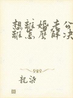 想离婚老公不肯离怎么解决