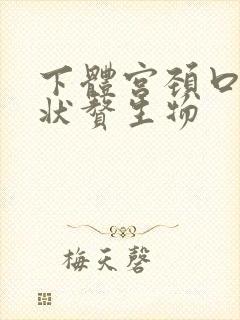 下体宫颈口菜花状赘生物