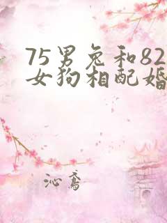 75男兔和82女狗相配婚姻如何