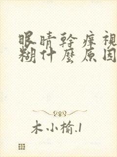 眼睛干痒视力模糊什么原因