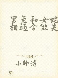 男兔和女蛇的属相适合做夫妻吗