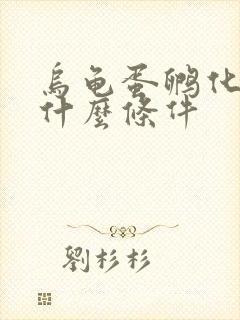 乌龟蛋孵化需要什么条件