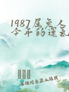 1987属兔人今年的运气和财运
