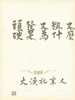 头发又粗又黑又硬是为什么