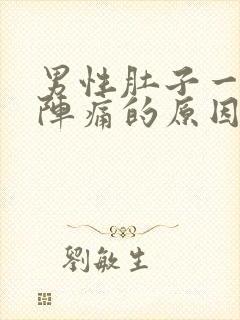 男性肚子一阵一阵痛的原因