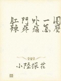 肛门外一圈火辣辣疼痛怎么办