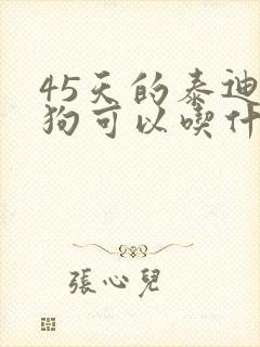 45天的泰迪狗狗可以吃什么