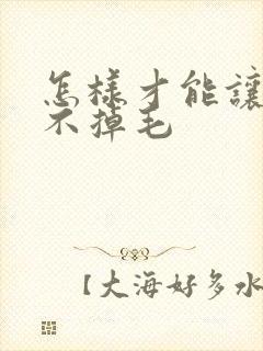 怎样才能让猫咪不掉毛