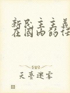 新民主主义革命在国内的任务