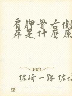 肩胛骨右侧后背疼是什么原因引起的