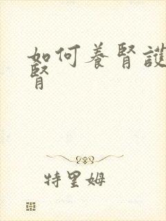 如何养肾护肾养肾