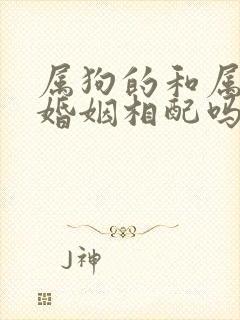 属狗的和属兔的婚姻相配吗